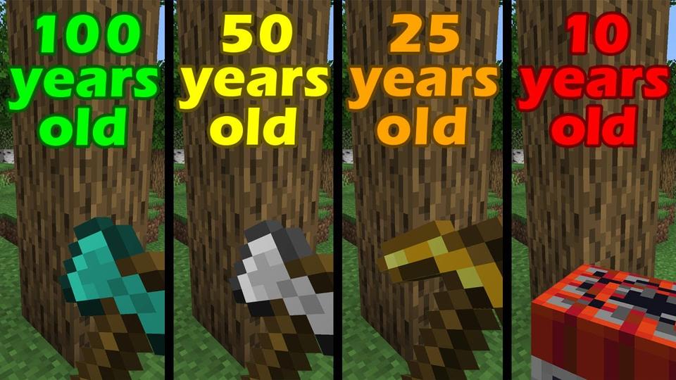Minecraft At Different Ages Be Like
